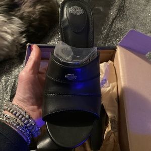 New with tags Harley Davidson pumps